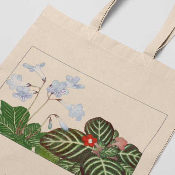 Tydea & Cape Primrose Flower Canvas Tote - Picture 3 of 5